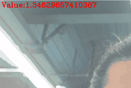 1 (1).gif